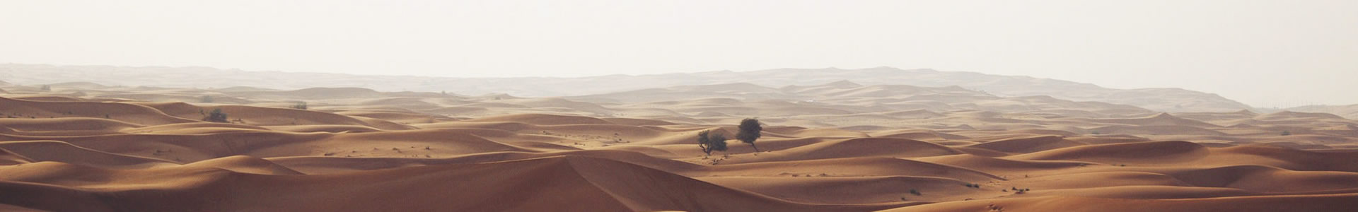 ൺ˳޹˾
